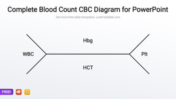 Complete Blood Count CBC Diagram for PowerPoint & Word